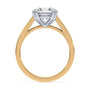 lm-preview|beatrice-double-claw-prong-cathedral-solitaire-setting|tt-yellow|round