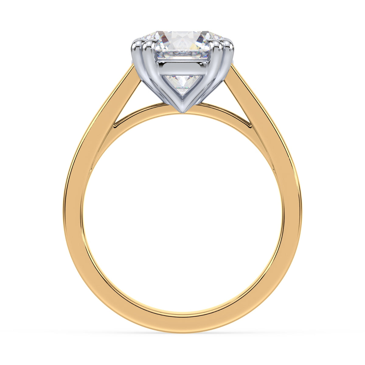lm-preview|beatrice-double-claw-prong-cathedral-solitaire-setting|tt-yellow|round