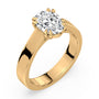 lm-preview|beatrice-double-claw-prong-cathedral-solitaire-setting|yellow|oval