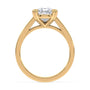 lm-preview|beatrice-double-claw-prong-cathedral-solitaire-setting|yellow|pear