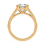 lm-preview|beatrice-double-claw-prong-cathedral-solitaire-setting|yellow|round