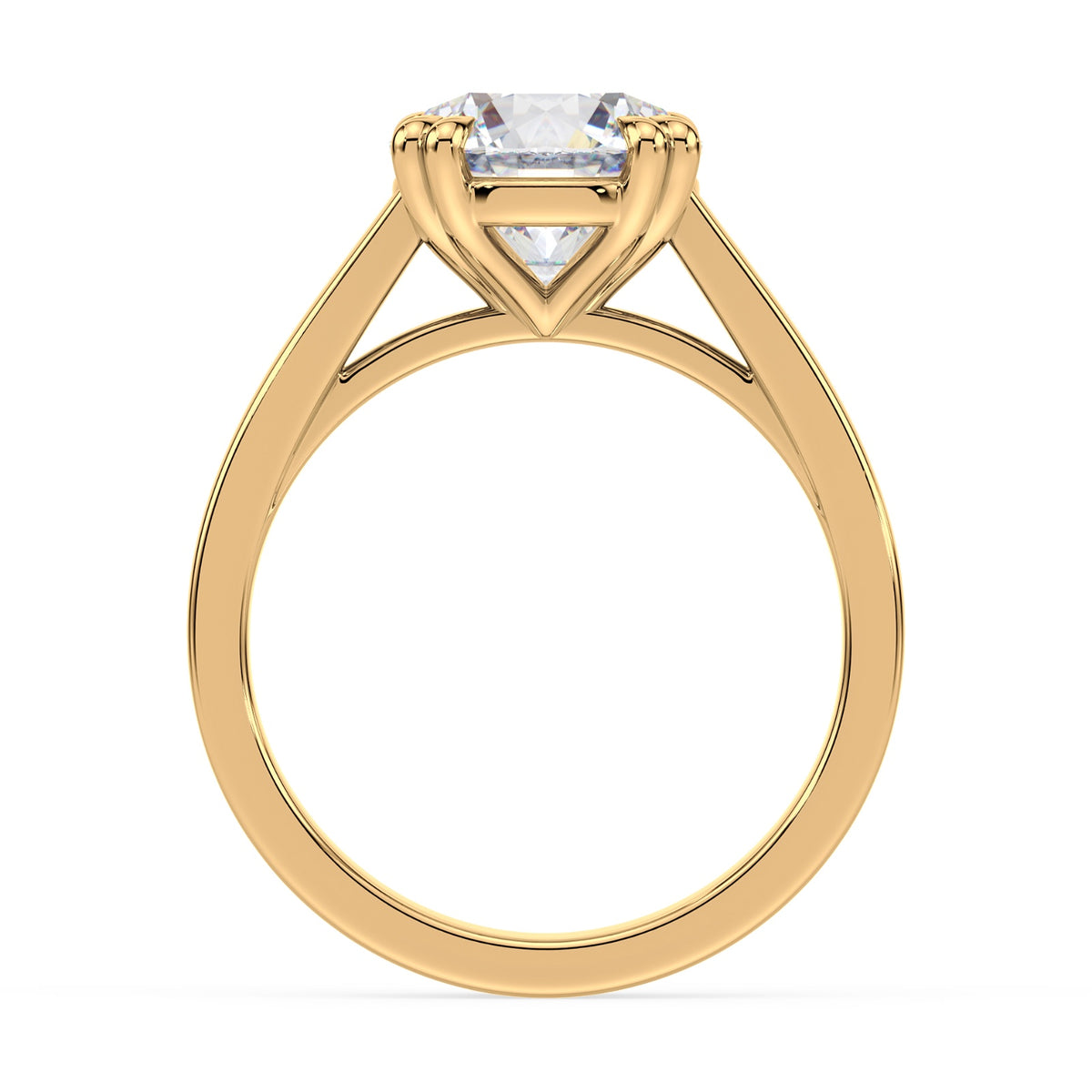 lm-preview|beatrice-double-claw-prong-cathedral-solitaire-setting|yellow|round