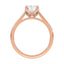 Billie Tulip Cathedral Solitaire Setting