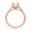 Billie Tulip Cathedral Solitaire Setting