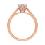 Billie Tulip Cathedral Solitaire Setting