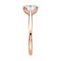 lm-preview|billie-tulip-cathedral-solitaire-setting|rose|oval