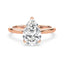 Billie Tulip Cathedral Solitaire Setting