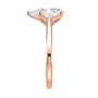 lm-preview|billie-tulip-cathedral-solitaire-setting|rose|pear