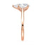 Billie Tulip Cathedral Solitaire Setting