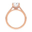 Billie Tulip Cathedral Solitaire Setting