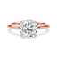 Billie Tulip Cathedral Solitaire Setting