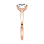 lm-preview|billie-tulip-cathedral-solitaire-setting|rose|round