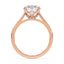 Billie Tulip Cathedral Solitaire Setting
