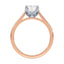 Billie Tulip Cathedral Solitaire Setting