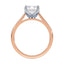 Billie Tulip Cathedral Solitaire Setting