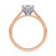 Billie Tulip Cathedral Solitaire Setting