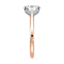 lm-preview|billie-tulip-cathedral-solitaire-setting|tt-rose|oval