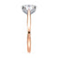 Billie Tulip Cathedral Solitaire Setting