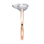 lm-preview|billie-tulip-cathedral-solitaire-setting|tt-rose|pear