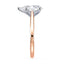 Billie Tulip Cathedral Solitaire Setting