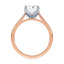 Billie Tulip Cathedral Solitaire Setting