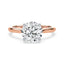 Billie Tulip Cathedral Solitaire Setting