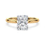 Billie Tulip Cathedral Solitaire Setting