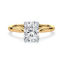 lm-preview|billie-tulip-cathedral-solitaire-setting|tt-yellow|elongated-cushion