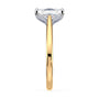 lm-preview|billie-tulip-cathedral-solitaire-setting|tt-yellow|elongated-cushion