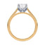 Billie Tulip Cathedral Solitaire Setting