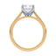 Billie Tulip Cathedral Solitaire Setting