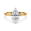 Billie Tulip Cathedral Solitaire Setting