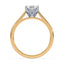 Billie Tulip Cathedral Solitaire Setting