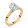 lm-preview|billie-tulip-cathedral-solitaire-setting|tt-yellow|oval