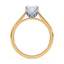 Billie Tulip Cathedral Solitaire Setting