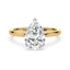 Billie Tulip Cathedral Solitaire Setting