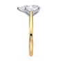 lm-preview|billie-tulip-cathedral-solitaire-setting|tt-yellow|pear