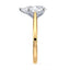 Billie Tulip Cathedral Solitaire Setting