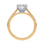Billie Tulip Cathedral Solitaire Setting
