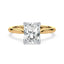 Billie Tulip Cathedral Solitaire Setting