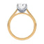 Billie Tulip Cathedral Solitaire Setting