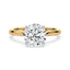 Billie Tulip Cathedral Solitaire Setting