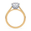 Billie Tulip Cathedral Solitaire Setting