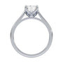 lm-preview|billie-tulip-cathedral-solitaire-setting|white|elongated-cushion