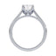 Billie Tulip Cathedral Solitaire Setting