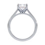 lm-preview|billie-tulip-cathedral-solitaire-setting|white|emerald