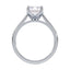 Billie Tulip Cathedral Solitaire Setting
