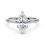 Billie Tulip Cathedral Solitaire Setting