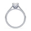 Billie Tulip Cathedral Solitaire Setting