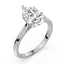 Billie Tulip Cathedral Solitaire Setting